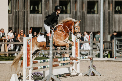 © Niki Buchegger, turnier-fotos.at
