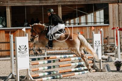 © Niki Buchegger, turnier-fotos.at