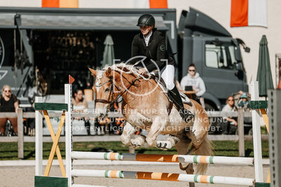 © Niki Buchegger, turnier-fotos.at