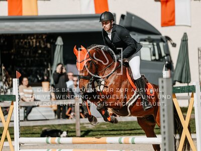 © Niki Buchegger, turnier-fotos.at