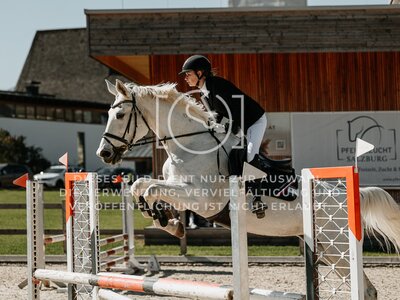 © Niki Buchegger, turnier-fotos.at