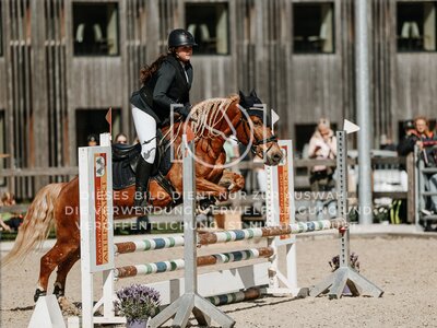 © Niki Buchegger, turnier-fotos.at