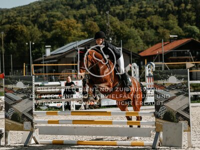 © Niki Buchegger, turnier-fotos.at