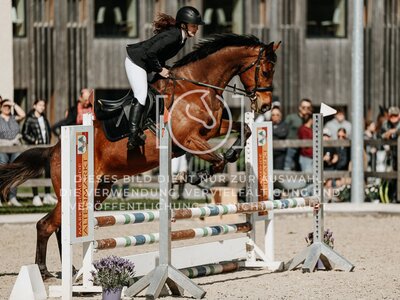 © Niki Buchegger, turnier-fotos.at