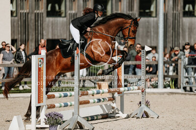 © Niki Buchegger, turnier-fotos.at