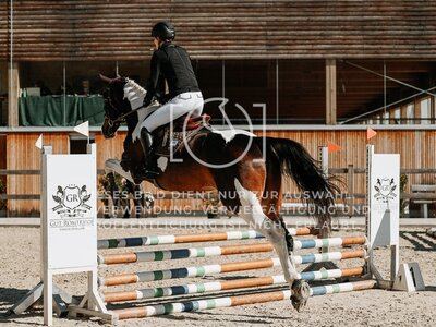 © Niki Buchegger, turnier-fotos.at