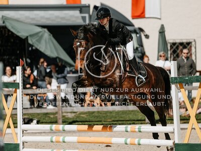 © Niki Buchegger, turnier-fotos.at