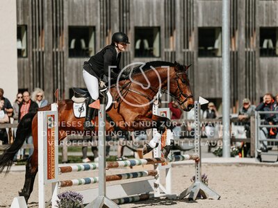 © Niki Buchegger, turnier-fotos.at