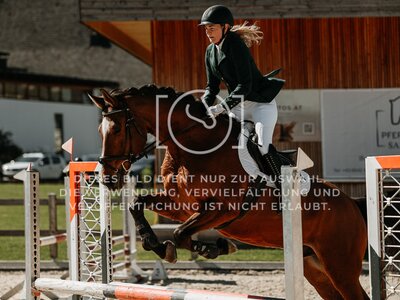 © Niki Buchegger, turnier-fotos.at