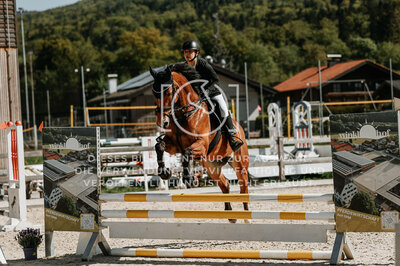 © Niki Buchegger, turnier-fotos.at