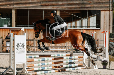 © Niki Buchegger, turnier-fotos.at