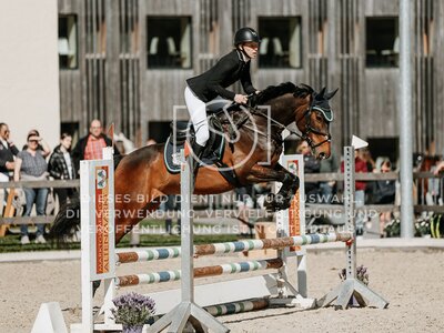 © Niki Buchegger, turnier-fotos.at