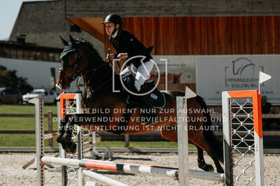 © Niki Buchegger, turnier-fotos.at