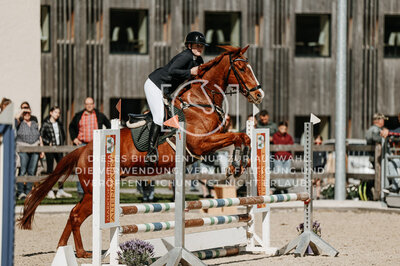 © Niki Buchegger, turnier-fotos.at