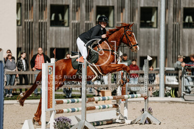 © Niki Buchegger, turnier-fotos.at