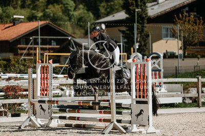 © Niki Buchegger, turnier-fotos.at
