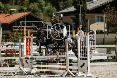 © Niki Buchegger, turnier-fotos.at
