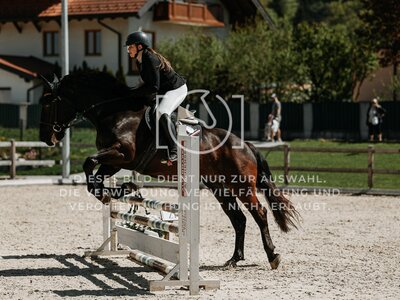 © Niki Buchegger, turnier-fotos.at