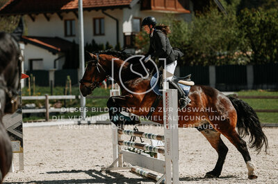 © Niki Buchegger, turnier-fotos.at
