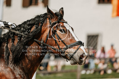 © Niki Buchegger, turnier-fotos.at