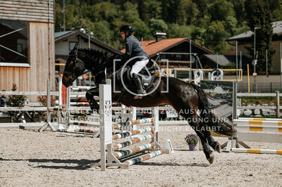 © Niki Buchegger, turnier-fotos.at