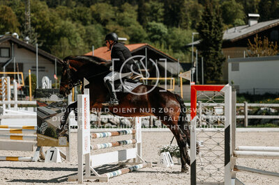 © Niki Buchegger, turnier-fotos.at