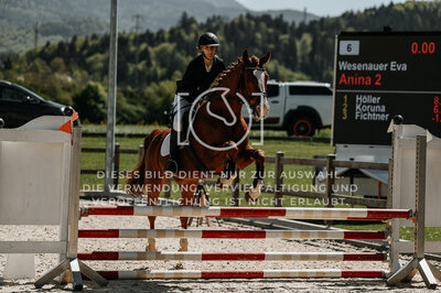 © Niki Buchegger, turnier-fotos.at