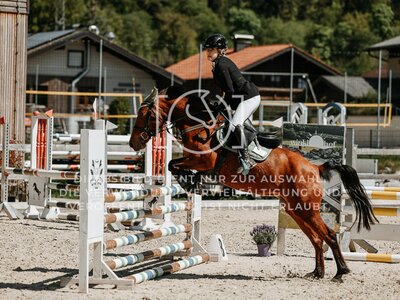 © Niki Buchegger, turnier-fotos.at