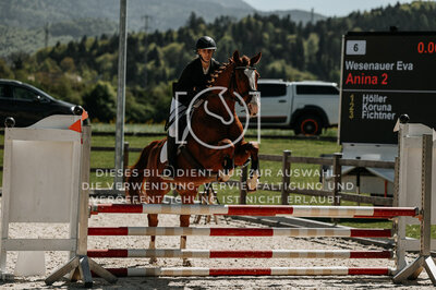 © Niki Buchegger, turnier-fotos.at
