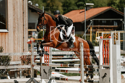 © Niki Buchegger, turnier-fotos.at