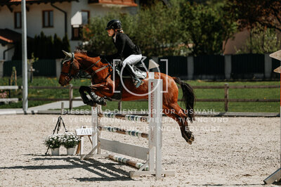 © Niki Buchegger, turnier-fotos.at