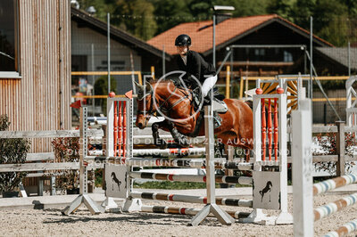 © Niki Buchegger, turnier-fotos.at