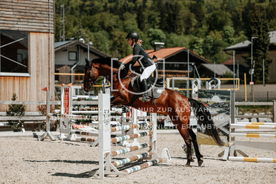 © Niki Buchegger, turnier-fotos.at
