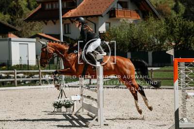 © Niki Buchegger, turnier-fotos.at
