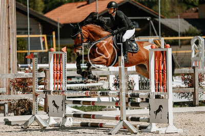 © Niki Buchegger, turnier-fotos.at