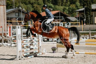 © Niki Buchegger, turnier-fotos.at