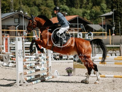 © Niki Buchegger, turnier-fotos.at