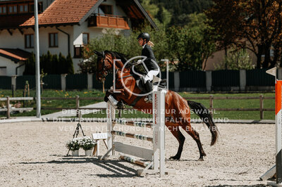 © Niki Buchegger, turnier-fotos.at
