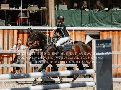 © Niki Buchegger, turnier-fotos.at