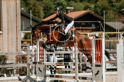 © Niki Buchegger, turnier-fotos.at