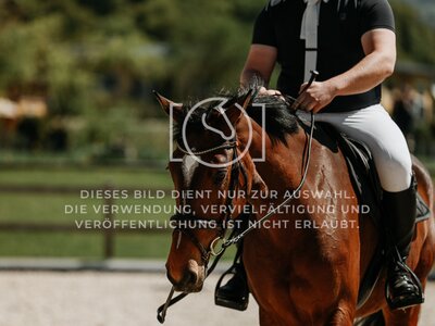 © Niki Buchegger, turnier-fotos.at