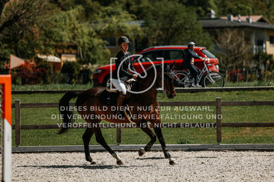 © Niki Buchegger, turnier-fotos.at