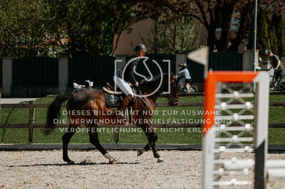 © Niki Buchegger, turnier-fotos.at