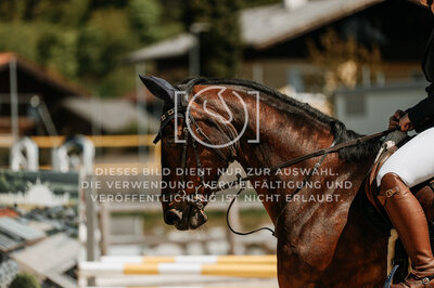 © Niki Buchegger, turnier-fotos.at