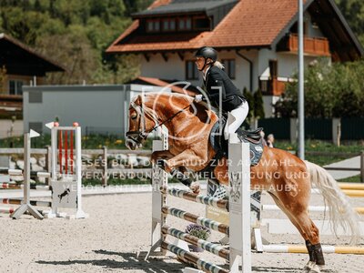 © Niki Buchegger, turnier-fotos.at