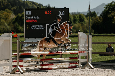 © Niki Buchegger, turnier-fotos.at