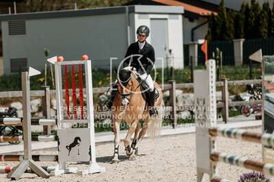 © Niki Buchegger, turnier-fotos.at