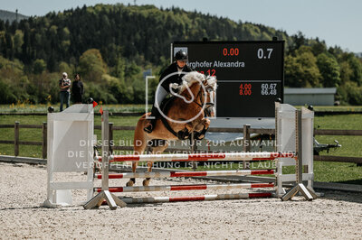 © Niki Buchegger, turnier-fotos.at