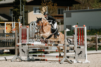 © Niki Buchegger, turnier-fotos.at