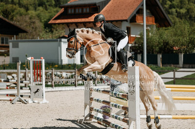 © Niki Buchegger, turnier-fotos.at